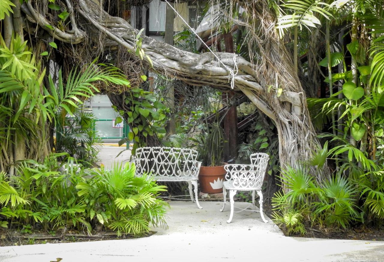 Eco-Hotel El Rey Del Caribe Κανκούν Εξωτερικό φωτογραφία