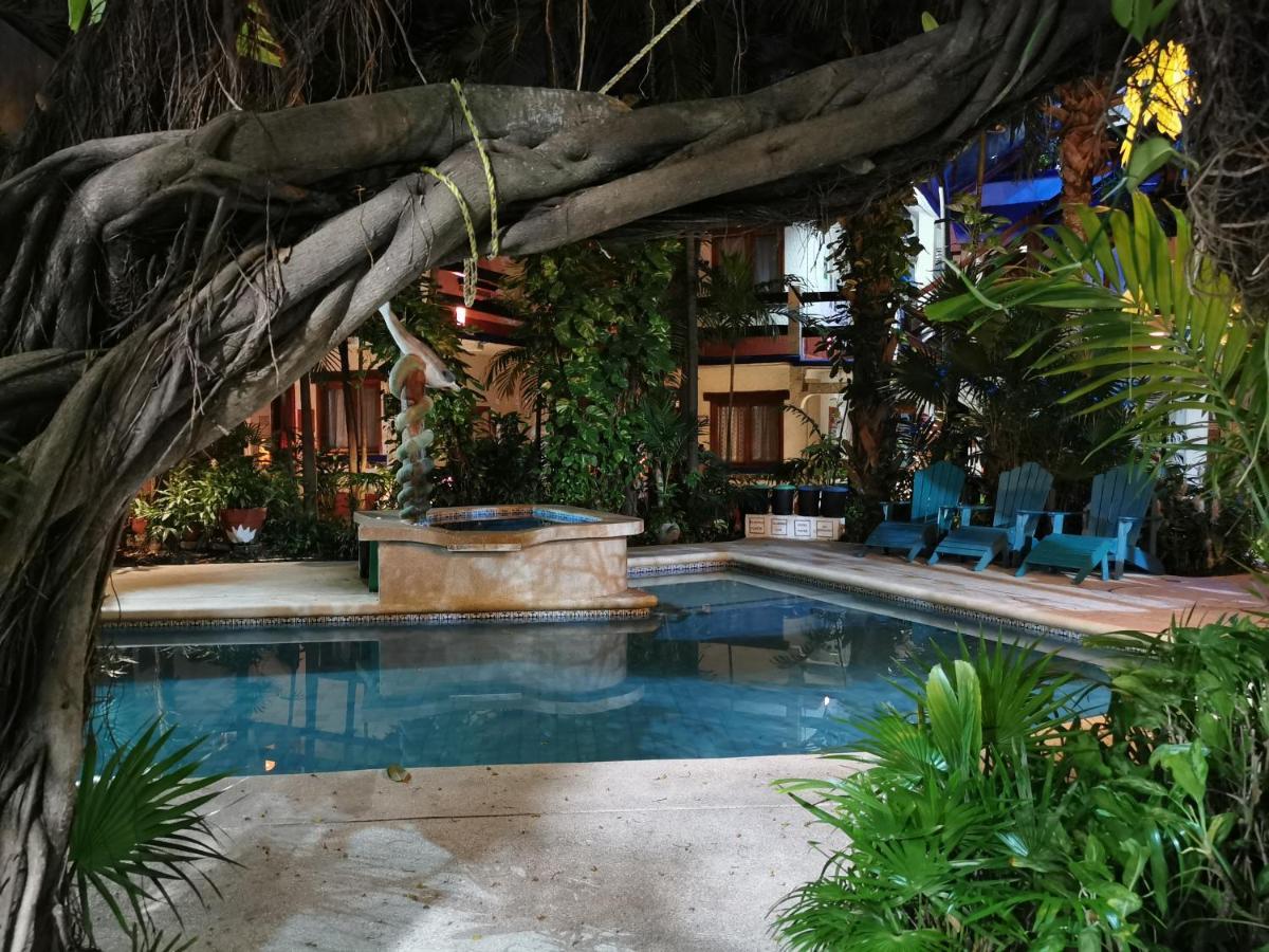 Eco-Hotel El Rey Del Caribe Κανκούν Εξωτερικό φωτογραφία