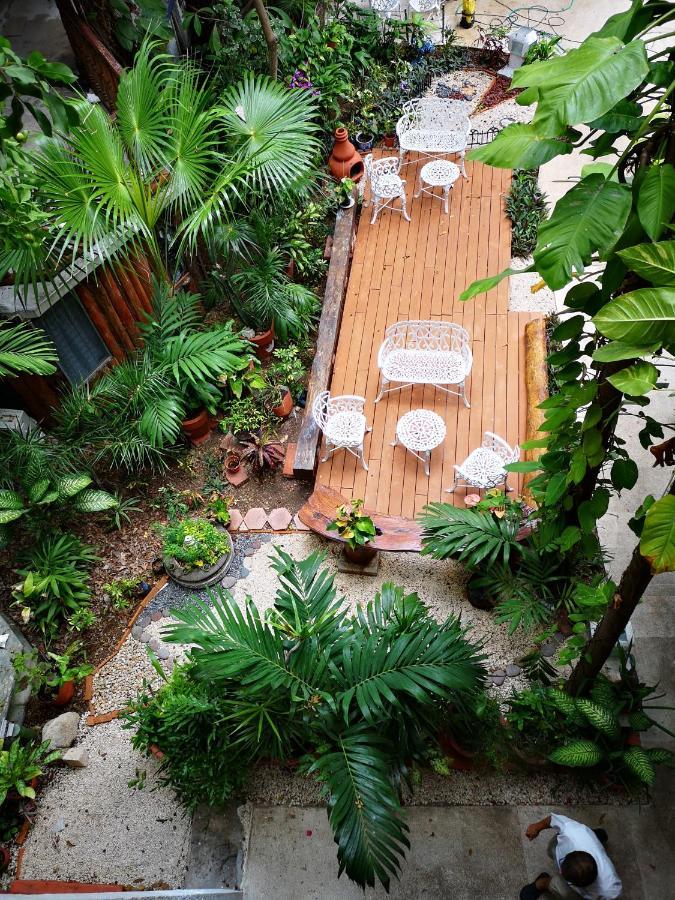Eco-Hotel El Rey Del Caribe Κανκούν Εξωτερικό φωτογραφία