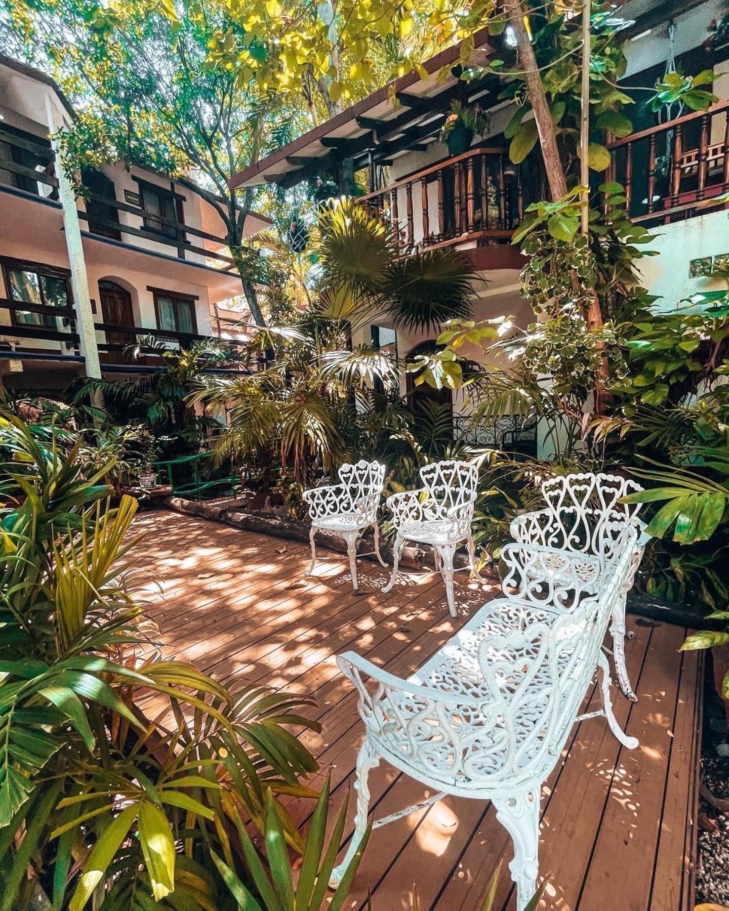 Eco-Hotel El Rey Del Caribe Κανκούν Εξωτερικό φωτογραφία