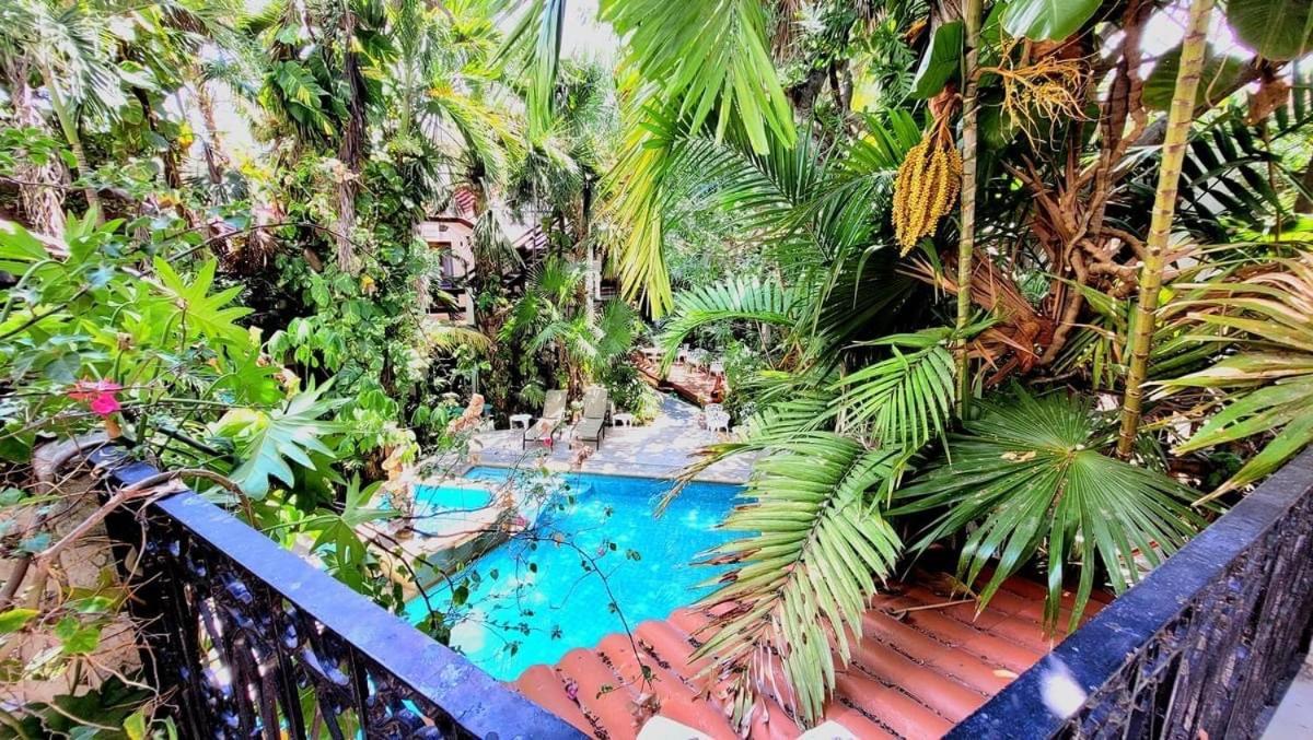 Eco-Hotel El Rey Del Caribe Κανκούν Εξωτερικό φωτογραφία
