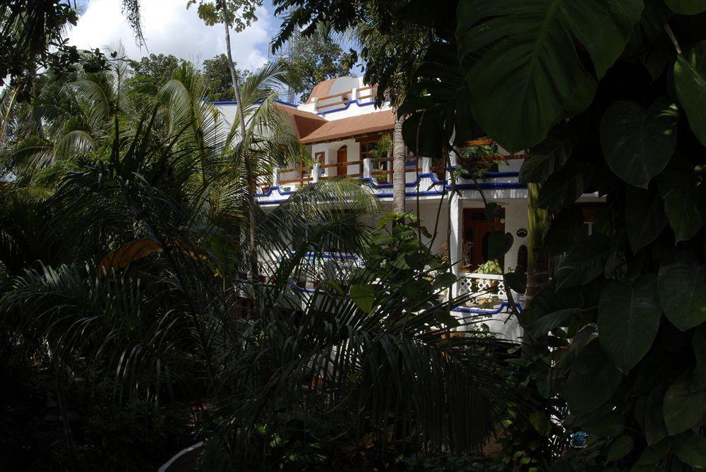 Eco-Hotel El Rey Del Caribe Κανκούν Εξωτερικό φωτογραφία