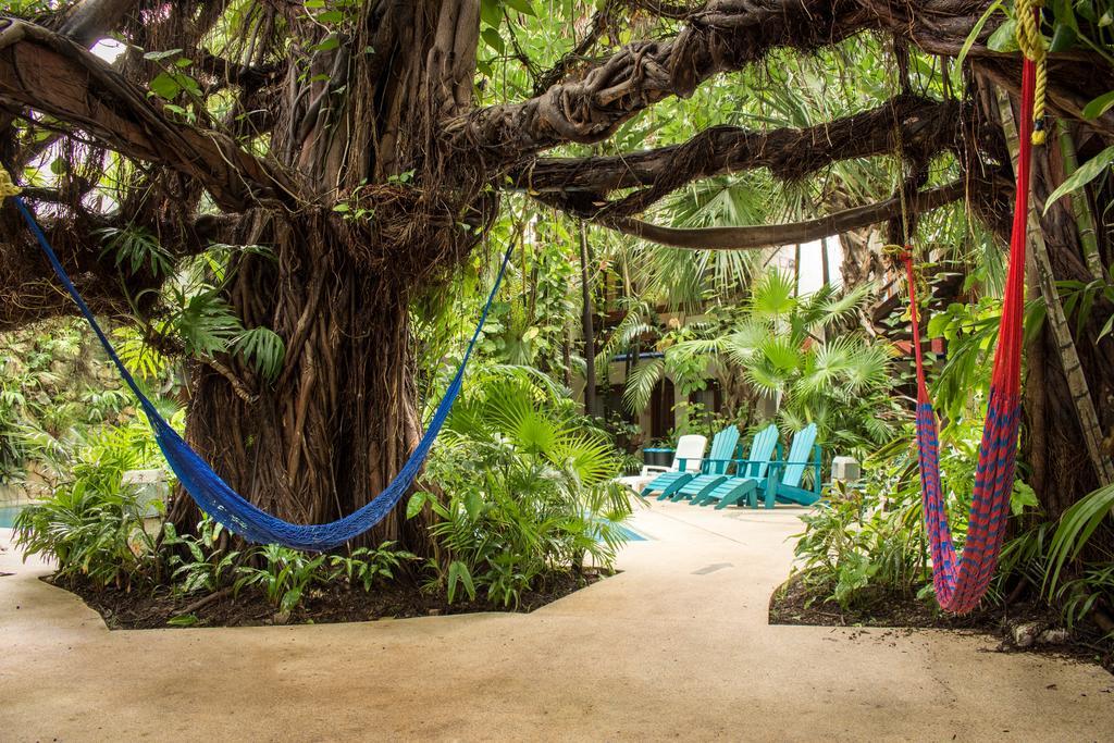 Eco-Hotel El Rey Del Caribe Κανκούν Εξωτερικό φωτογραφία
