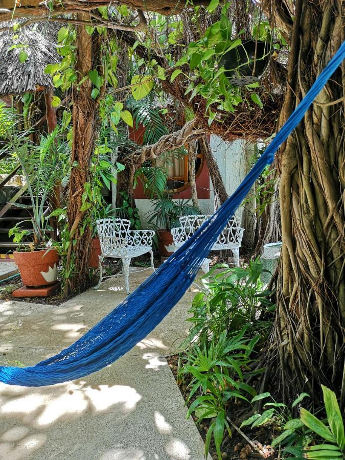Eco-Hotel El Rey Del Caribe Κανκούν Εξωτερικό φωτογραφία